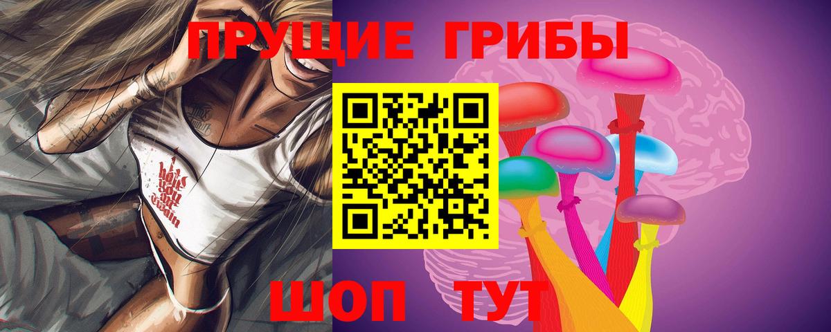 Ессентуки  Галлюциногенные грибы прущие грибы  Вход с VPN 