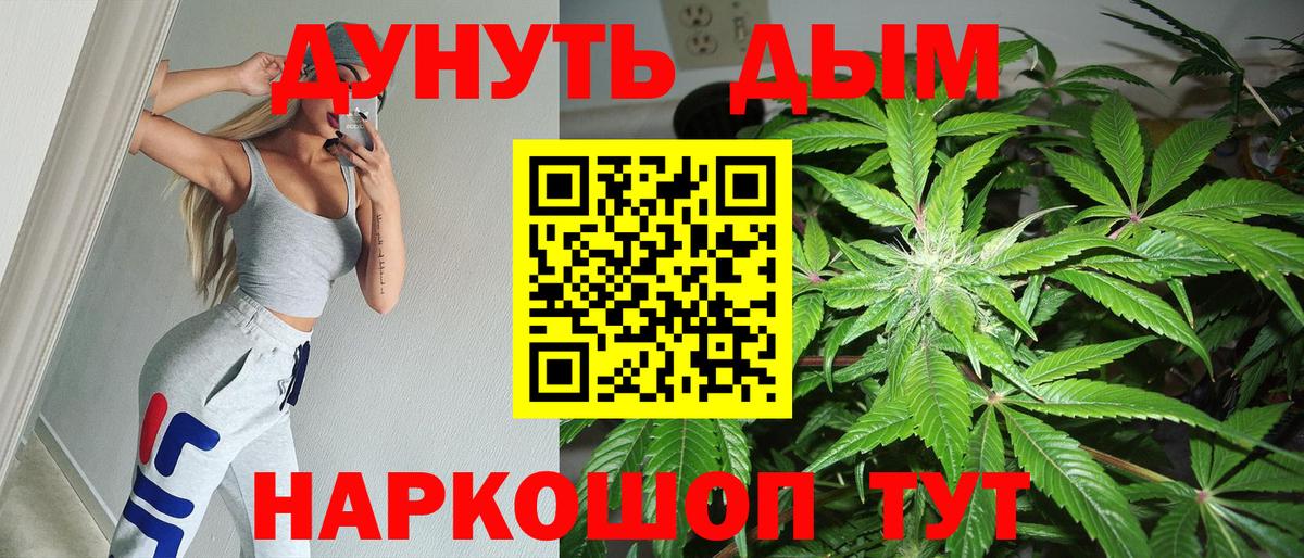 Бошки Шишки Bruce Banner  Каннабис Ganja  Ессентуки  Шишки марихуана план  Марихуана тримм  Вход с VPN 